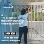 The Benefits of Regular Professional Cleaning Services