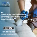 How Carpet and Upholstery Cleaning Extends the Life of Your Furniture