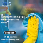 Window Cleaning Tips for a Streak-Free Shine