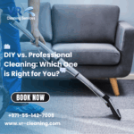 DIY vs. Professional Cleaning: Which One is Right for You?